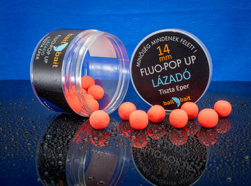Lázadó - Fluo Pop Up