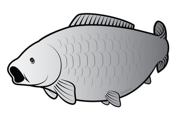 Öntapadó ponty SILVER