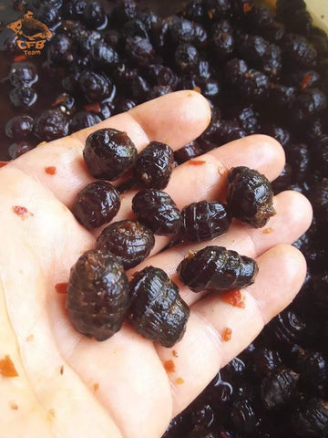 Főtt Fekete Tigrismogyoró XXL (Édes-Csípős-Csilis) - 1 kg