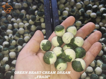 CFB - Cream Dream-Green Beast "Fradi" Bojli