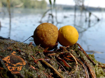 CFB - Natur Sour Bojli