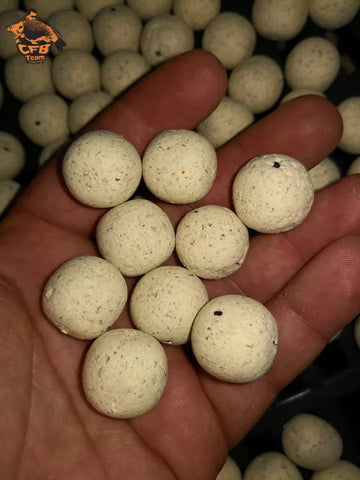 CFB - Wafters Könnyített Horogcsali - 30 mm