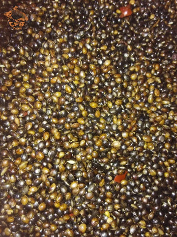 Főtt Kendermag - Csilis - 1 kg