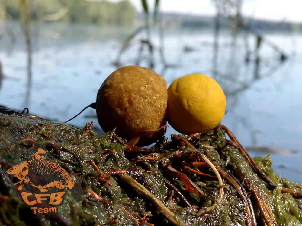 CFB - Natur Sour Bojli